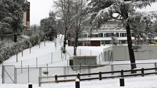 Nieve - Schnee
