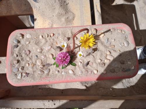 Proyecto de donaciones, Pascua, Pésaj, y la primavera / Spendenprojekt, Ostern, Pessach und der Frühling