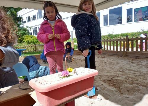 Proyecto de donaciones, Pascua, Pésaj, y la primavera / Spendenprojekt, Ostern, Pessach und der Frühling
