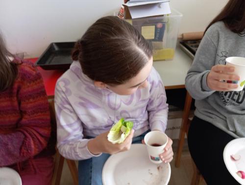Proyecto de donaciones, Pascua, Pésaj, y la primavera / Spendenprojekt, Ostern, Pessach und der Frühling