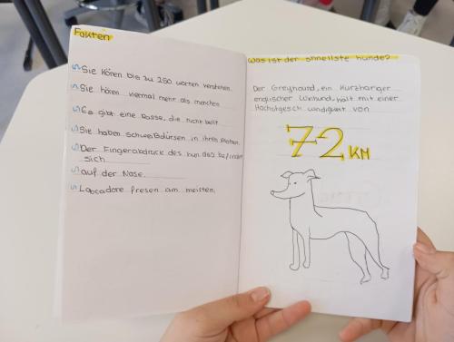 Nuevo proyecto de escritura / Neues Schreibprojekt