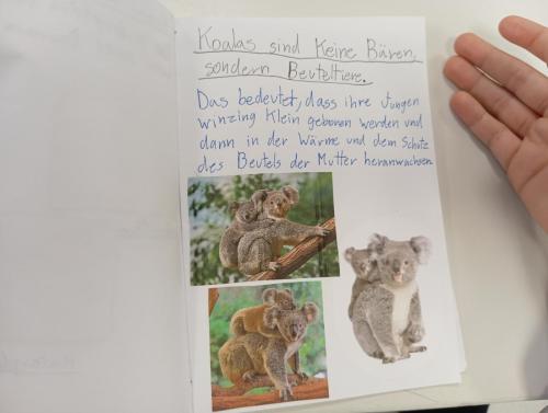 Nuevo proyecto de escritura / Neues Schreibprojekt
