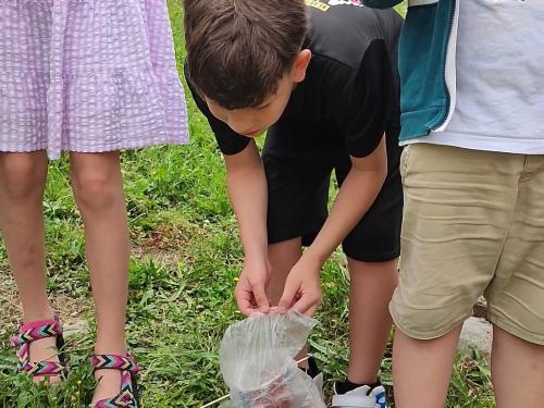 Gallo Egg Drop Challenge