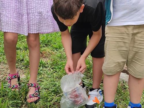 Gallo Egg Drop Challenge