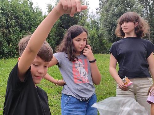Gallo Egg Drop Challenge