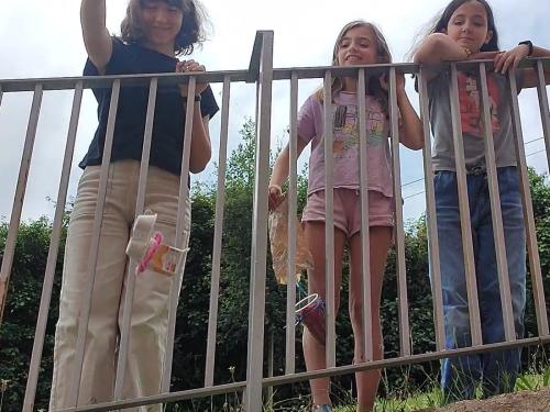 Gallo Egg Drop Challenge