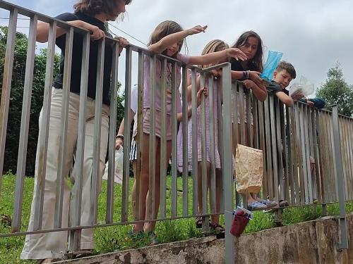 Gallo Egg Drop Challenge