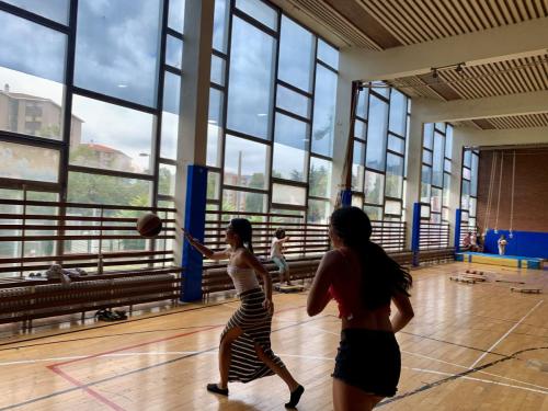 Francia Piscinas