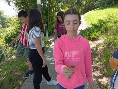 Proyecto STEM de pluviómetros, preparación para los exámenes oficiales, evento sobre el Campeonato Europeo de Atletismo y merendolas de fin de curso / STEM-Projekt mit Regenmessern, Vorbereitung auf offizielle Prüfungen, Event zur Leichtathletik Europameisterschaft und Abschlussfeiern am Ende des Kurses