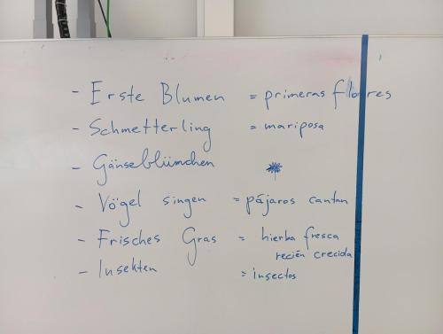 Proyecto STEM de pluviómetros, preparación para los exámenes oficiales, evento sobre el Campeonato Europeo de Atletismo y merendolas de fin de curso / STEM-Projekt mit Regenmessern, Vorbereitung auf offizielle Prüfungen, Event zur Leichtathletik Europameisterschaft und Abschlussfeiern am Ende des Kurses