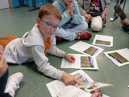 Proyecto STEM de pluviómetros, preparación para los exámenes oficiales, evento sobre el Campeonato Europeo de Atletismo y merendolas de fin de curso / STEM-Projekt mit Regenmessern, Vorbereitung auf offizielle Prüfungen, Event zur Leichtathletik Europameisterschaft und Abschlussfeiern am Ende des Kurses
