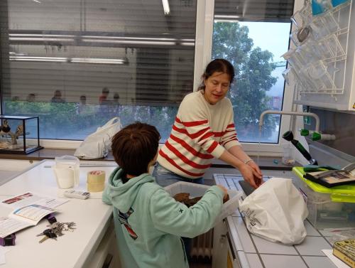 Proyecto STEM de pluviómetros, preparación para los exámenes oficiales, evento sobre el Campeonato Europeo de Atletismo y merendolas de fin de curso / STEM-Projekt mit Regenmessern, Vorbereitung auf offizielle Prüfungen, Event zur Leichtathletik Europameisterschaft und Abschlussfeiern am Ende des Kurses