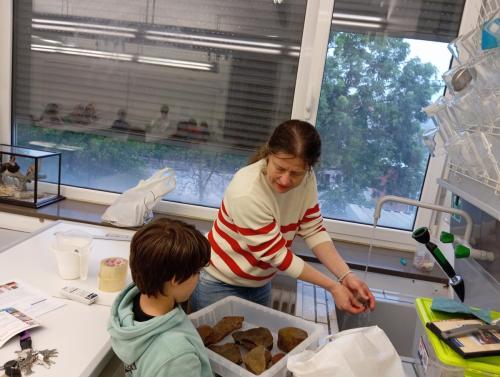 Proyecto STEM de pluviómetros, preparación para los exámenes oficiales, evento sobre el Campeonato Europeo de Atletismo y merendolas de fin de curso / STEM-Projekt mit Regenmessern, Vorbereitung auf offizielle Prüfungen, Event zur Leichtathletik Europameisterschaft und Abschlussfeiern am Ende des Kurses