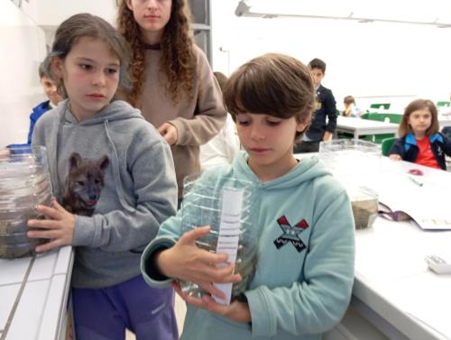 Proyecto STEM de pluviómetros, preparación para los exámenes oficiales, evento sobre el Campeonato Europeo de Atletismo y merendolas de fin de curso / STEM-Projekt mit Regenmessern, Vorbereitung auf offizielle Prüfungen, Event zur Leichtathletik Europameisterschaft und Abschlussfeiern am Ende des Kurses