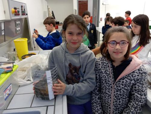 Proyecto STEM de pluviómetros, preparación para los exámenes oficiales, evento sobre el Campeonato Europeo de Atletismo y merendolas de fin de curso / STEM-Projekt mit Regenmessern, Vorbereitung auf offizielle Prüfungen, Event zur Leichtathletik Europameisterschaft und Abschlussfeiern am Ende des Kurses