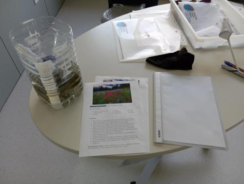 Proyecto STEM de pluviómetros, preparación para los exámenes oficiales, evento sobre el Campeonato Europeo de Atletismo y merendolas de fin de curso / STEM-Projekt mit Regenmessern, Vorbereitung auf offizielle Prüfungen, Event zur Leichtathletik Europameisterschaft und Abschlussfeiern am Ende des Kurses