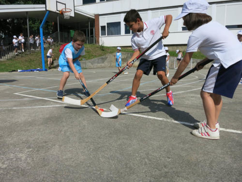 Pasión por el deporte