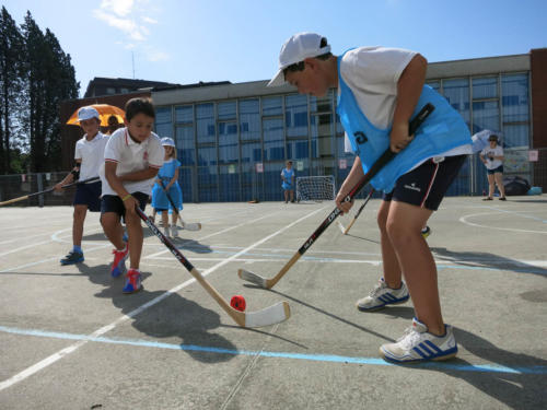 Pasión por el deporte