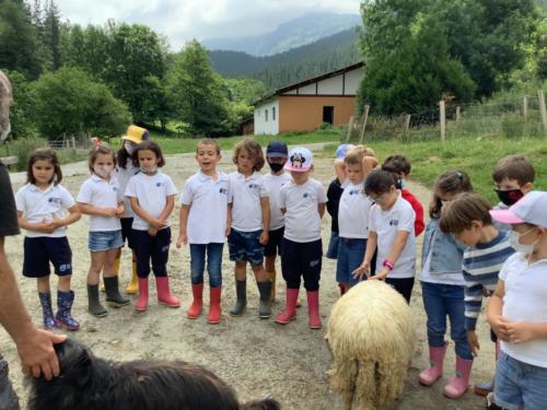 Excursión a la granja Alluitz / Ausflug auf den Bauernhof Alluitz 
