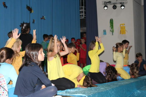 Einschulungsfeier / Fiesta ingreso en primaria
