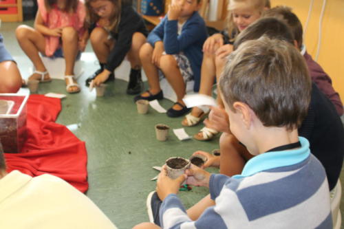 Einschulungsfeier / Fiesta ingreso en primaria