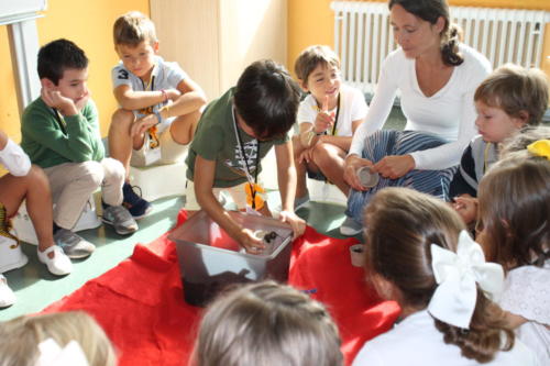 Einschulungsfeier / Fiesta ingreso en primaria