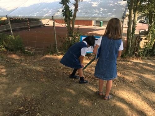 Paseo de lectura / Lesespaziergang