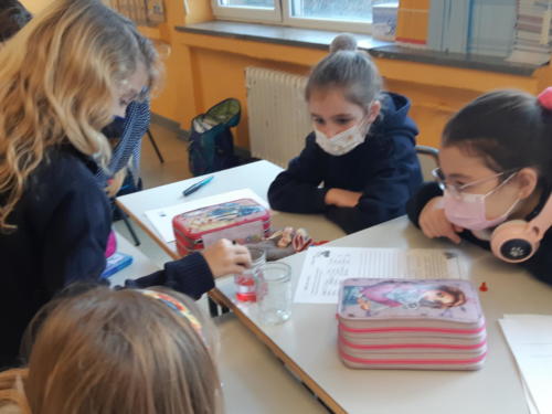 Día internacional de la mujer y la niña en la ciencia / Internationaler Tag der Frauen und Mädchen in der Wissenschaft