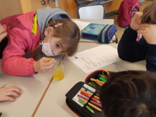 Día internacional de la mujer y la niña en la ciencia / Internationaler Tag der Frauen und Mädchen in der Wissenschaft
