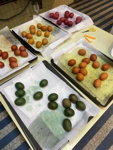 Pascua en primaria / Ostern in der Grundschule
