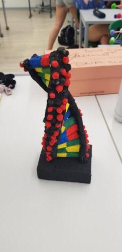 Modelos de ADN y biosíntesis de Proteínas / DNA-Modelle und Biosynthese von Proteinen