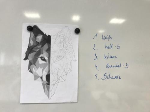 Wolf Spiegelung / Reflejo de lobo