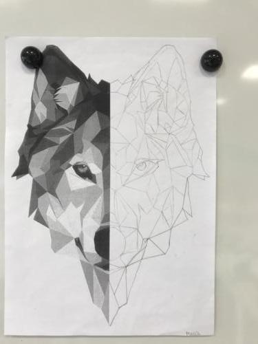 Wolf Spiegelung / Reflejo de lobo