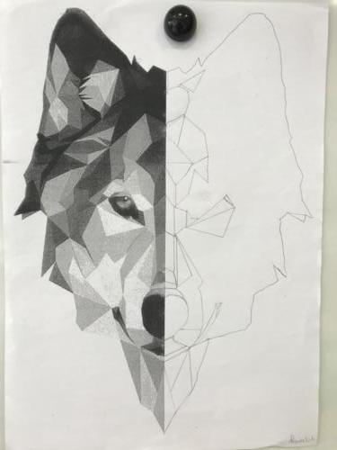 Wolf Spiegelung / Reflejo de lobo