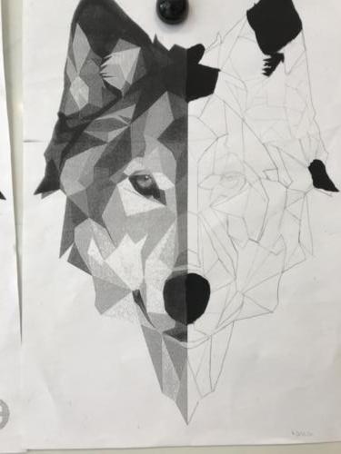 Wolf Spiegelung / Reflejo de lobo