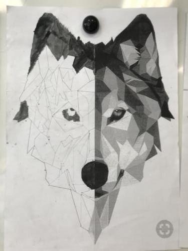 Wolf Spiegelung / Reflejo de lobo