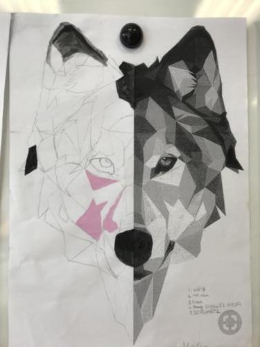Wolf Spiegelung / Reflejo de lobo