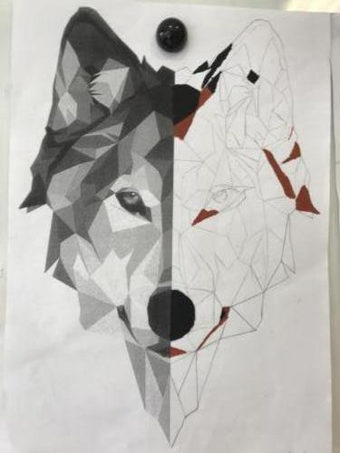 Wolf Spiegelung / Reflejo de lobo