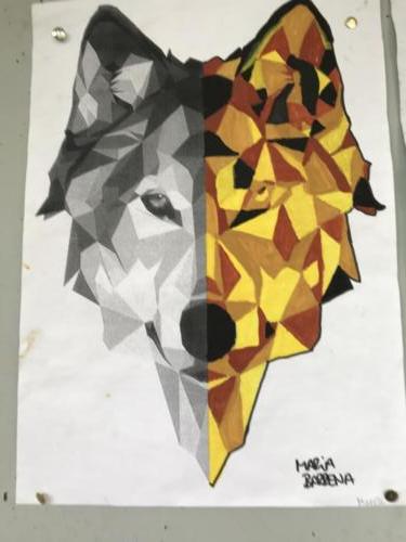 Wolf Spiegelung / Reflejo de lobo