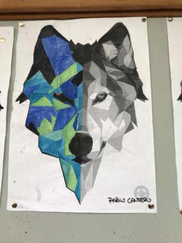 Wolf Spiegelung / Reflejo de lobo