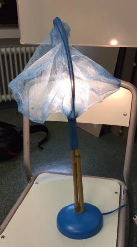 Lámparas/Lampen