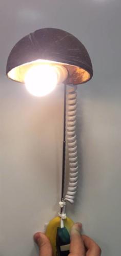 Lámparas/Lampen