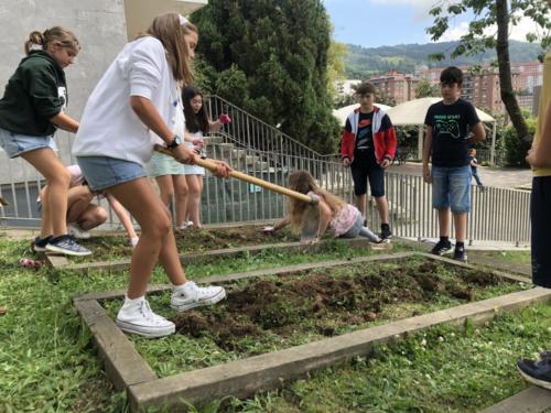 Huerto escolar / Schulgarten