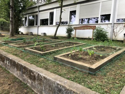 Huerto escolar / Schulgarten